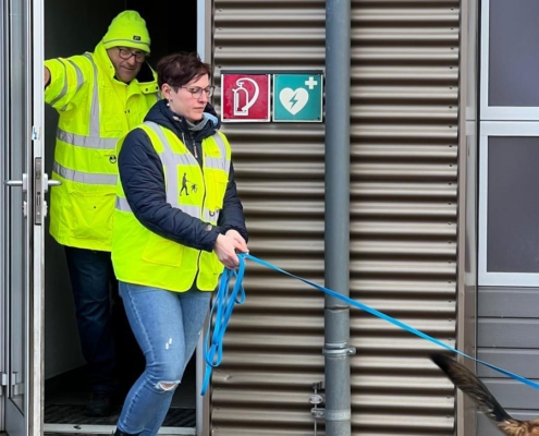 mantrailing-main-kinzig-suchhundeausbildung