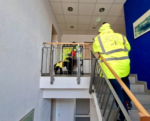 mantrailing-main-kinzig-suchhundeausbildung