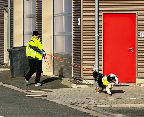 mantrailing-main-kinzig-suchhundeausbildung