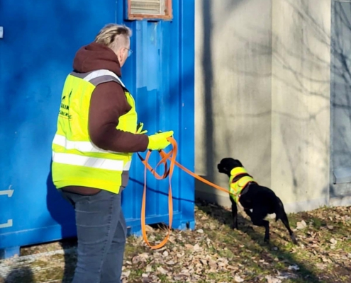 mantrailing-main-kinzig-suchhundeausbildung