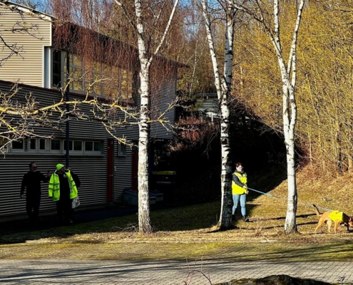 mantrailing-main-kinzig-suchhundeausbildung