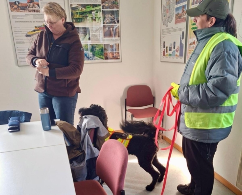 mantrailing-main-kinzig-suchhundeausbildung