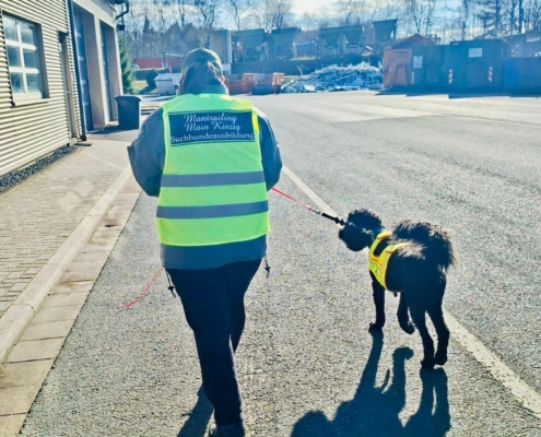 mantrailing-main-kinzig-suchhundeausbildung
